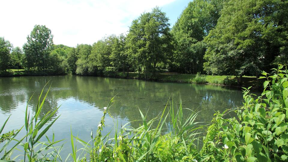 This picture as been uploaded as part of L'Été des régions Wikipédia.