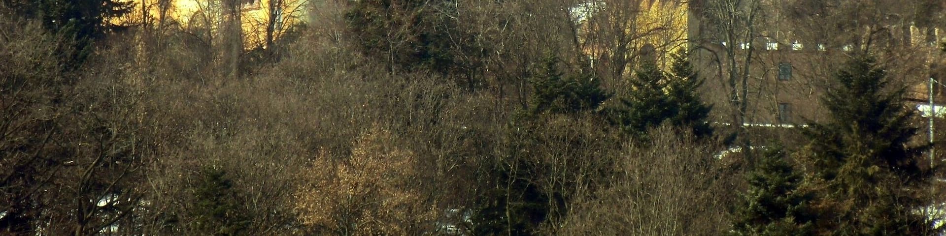 Busca (Cuneo): castello del Roccolo (sec. XIX)