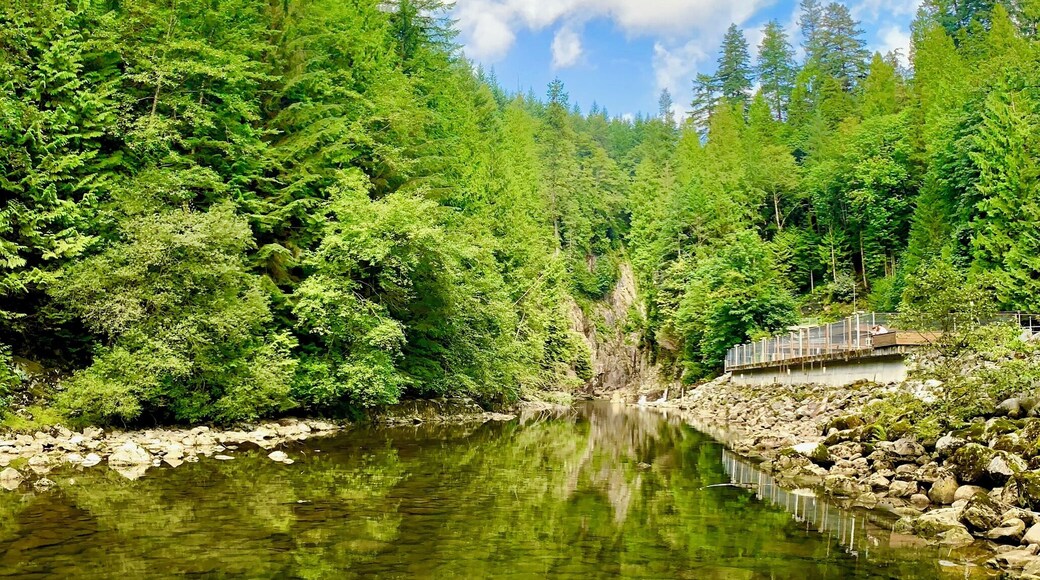 A free activity in north Vancouver is to go check out the Capilano hatchery. Not bad scenery either :) #lifeatexpedia