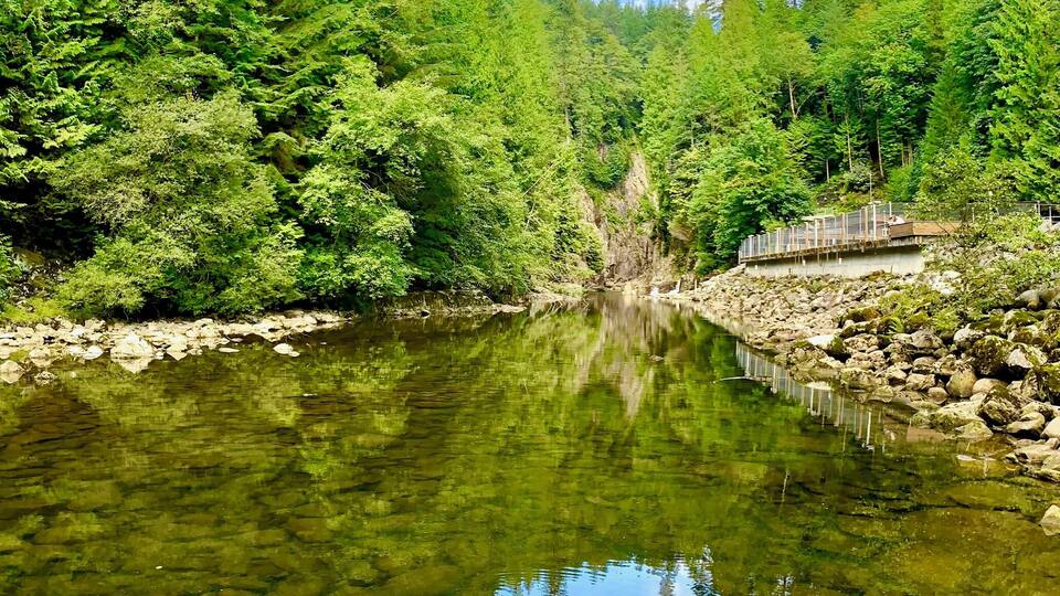 A free activity in north Vancouver is to go check out the Capilano hatchery. Not bad scenery either :) #lifeatexpedia