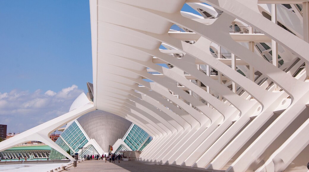 Travel destination. Valencia geometric architecture landmark. Geometric architecture sightseeing. Touristic city arts science. Travel to Valencia. City of arts and sciences. Contemporary landmark