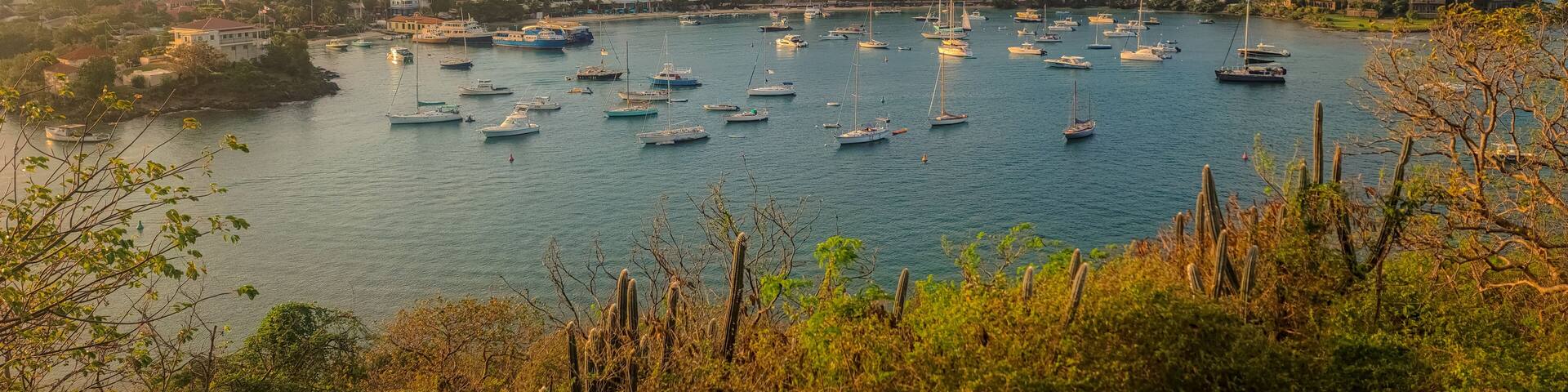A coastal town with a marina filled with sailboats, surrounded by hills and residential buildings.