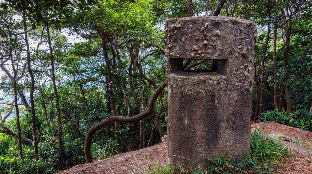 DP398H Pillbox JLO1 and Periscope, Wong Nai Chung Gap, Hong Kong