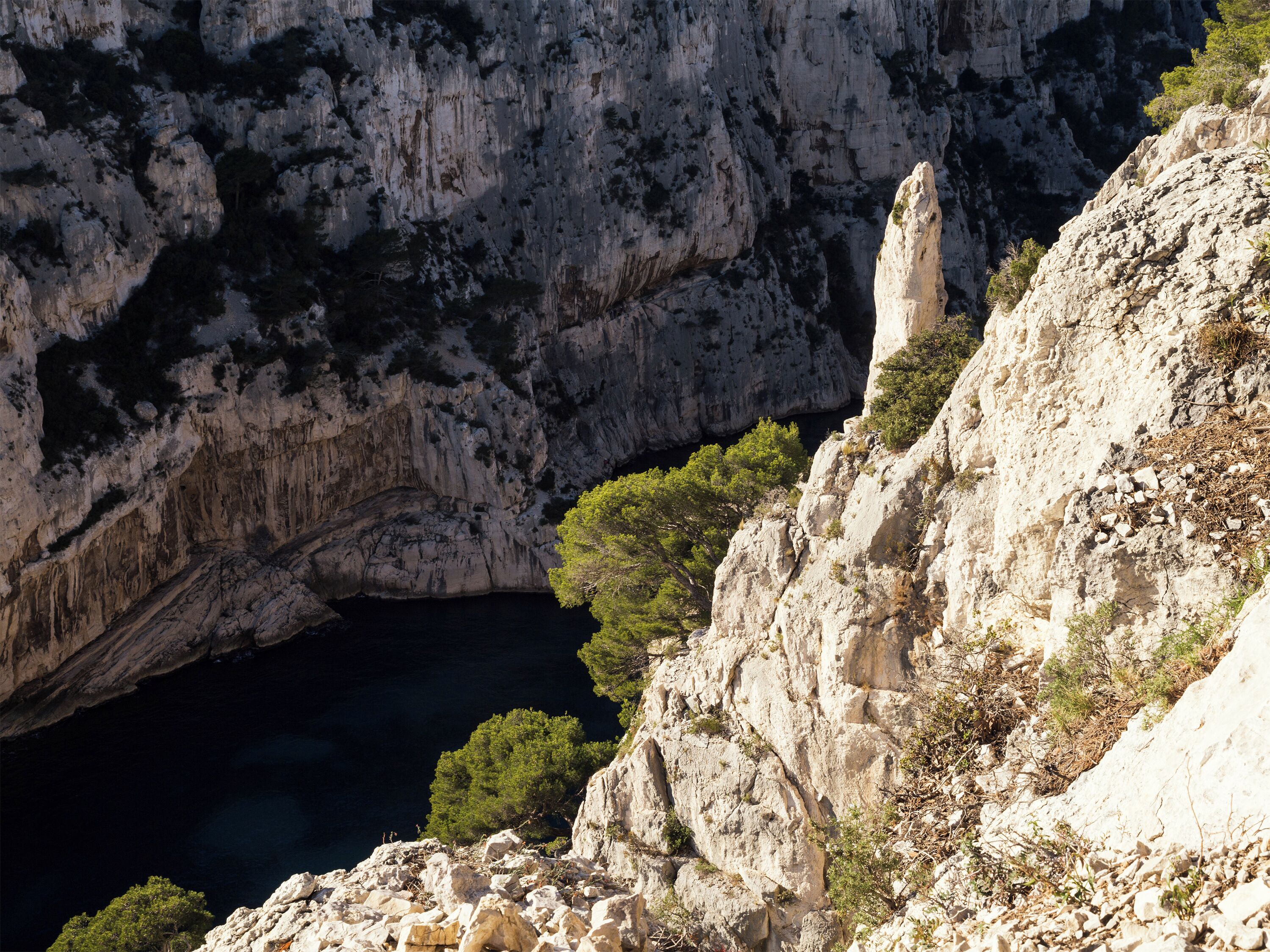 A rocky cliff with a cave opening and sparse vegetation.