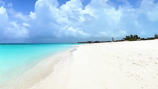 Turks & Caïcos, Grace Bay - white sand beach and turquoise waters