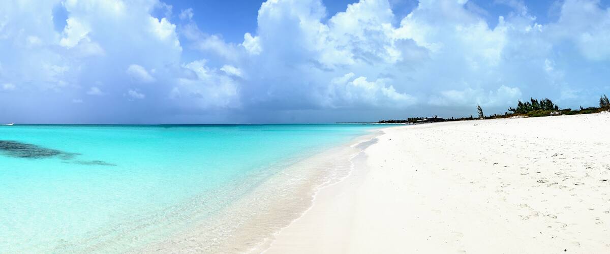 A beach with clear turquoise water, white sand, and scattered trees.