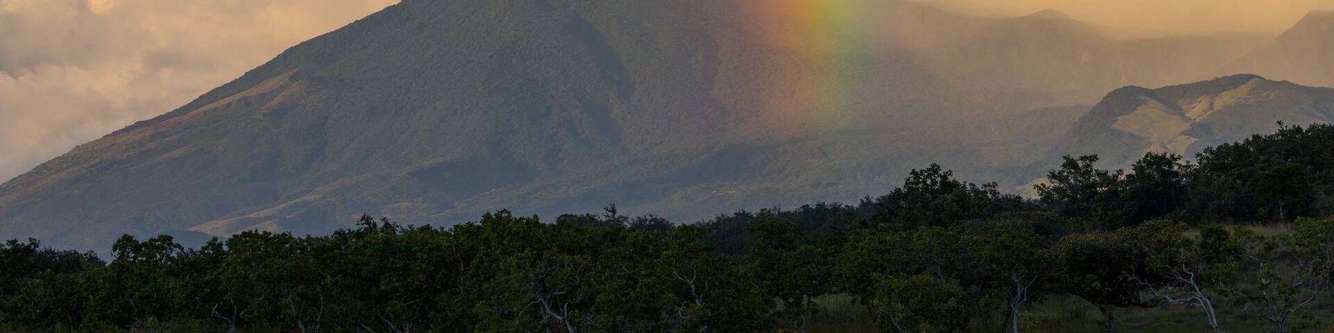 Rincon de la vieja volcano in the late afternoon, Costa Rica