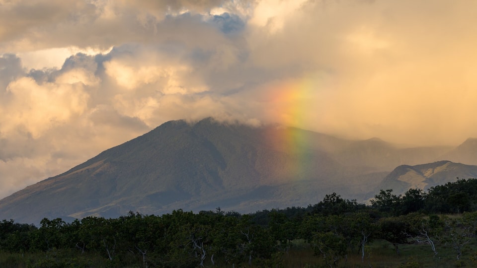 Rincon de la vieja volcano in the late afternoon, Costa Rica