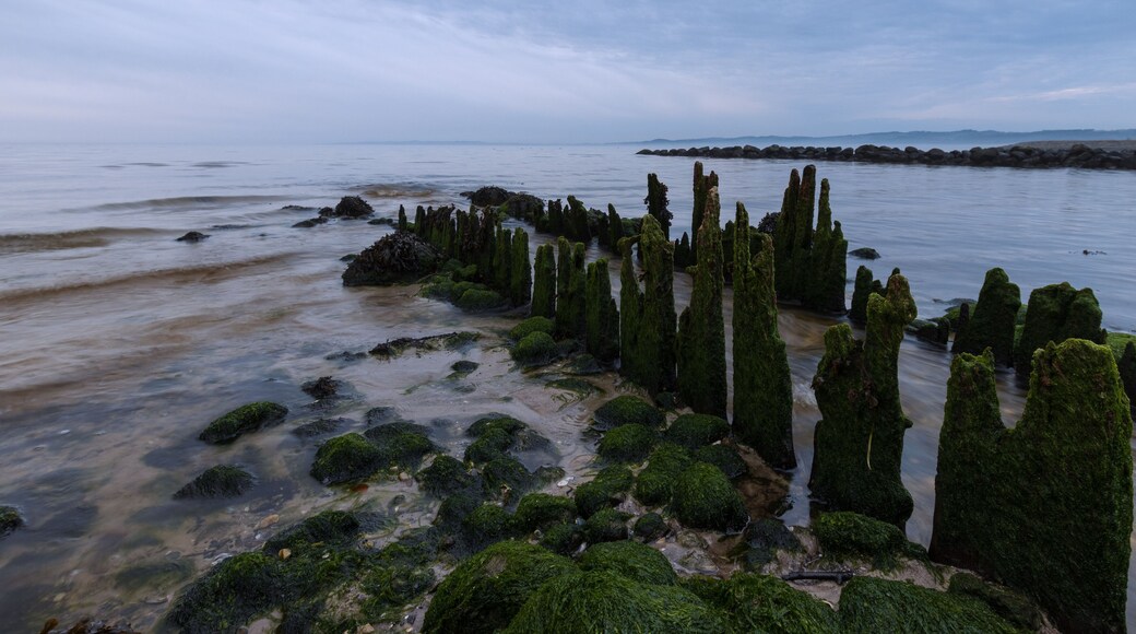 Holz Buhne am Bach Einlauf, Ostsee Küste