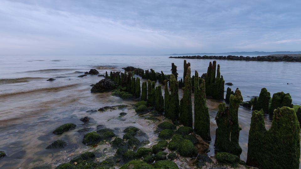 Holz Buhne am Bach Einlauf, Ostsee Küste