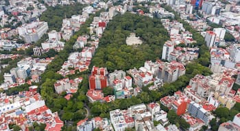 Espectacular vista aérea del Parque México y Amsterdam en la Colonia Hipódromo Condesa de la Ciudad de México