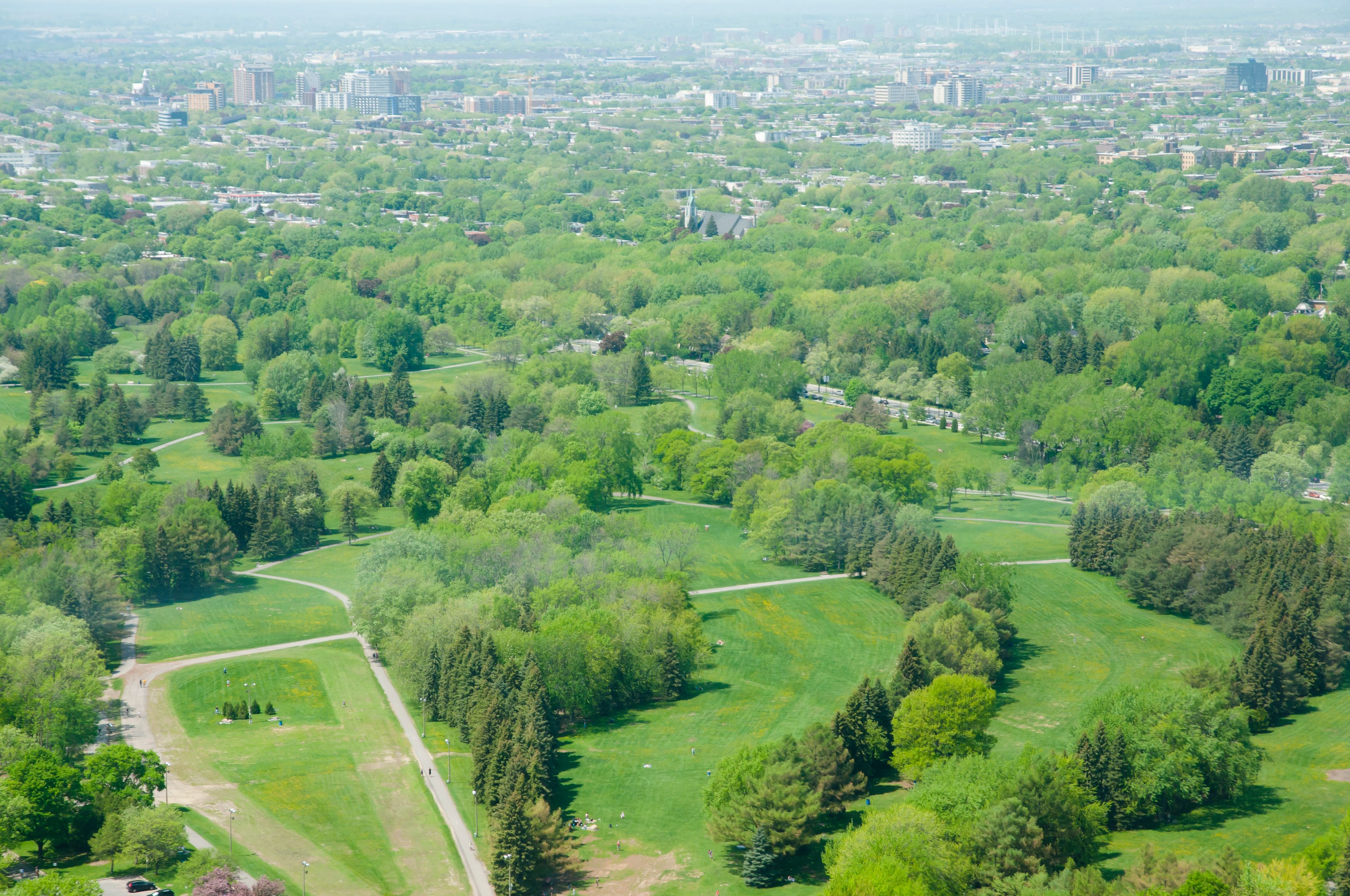 Maisonneuve