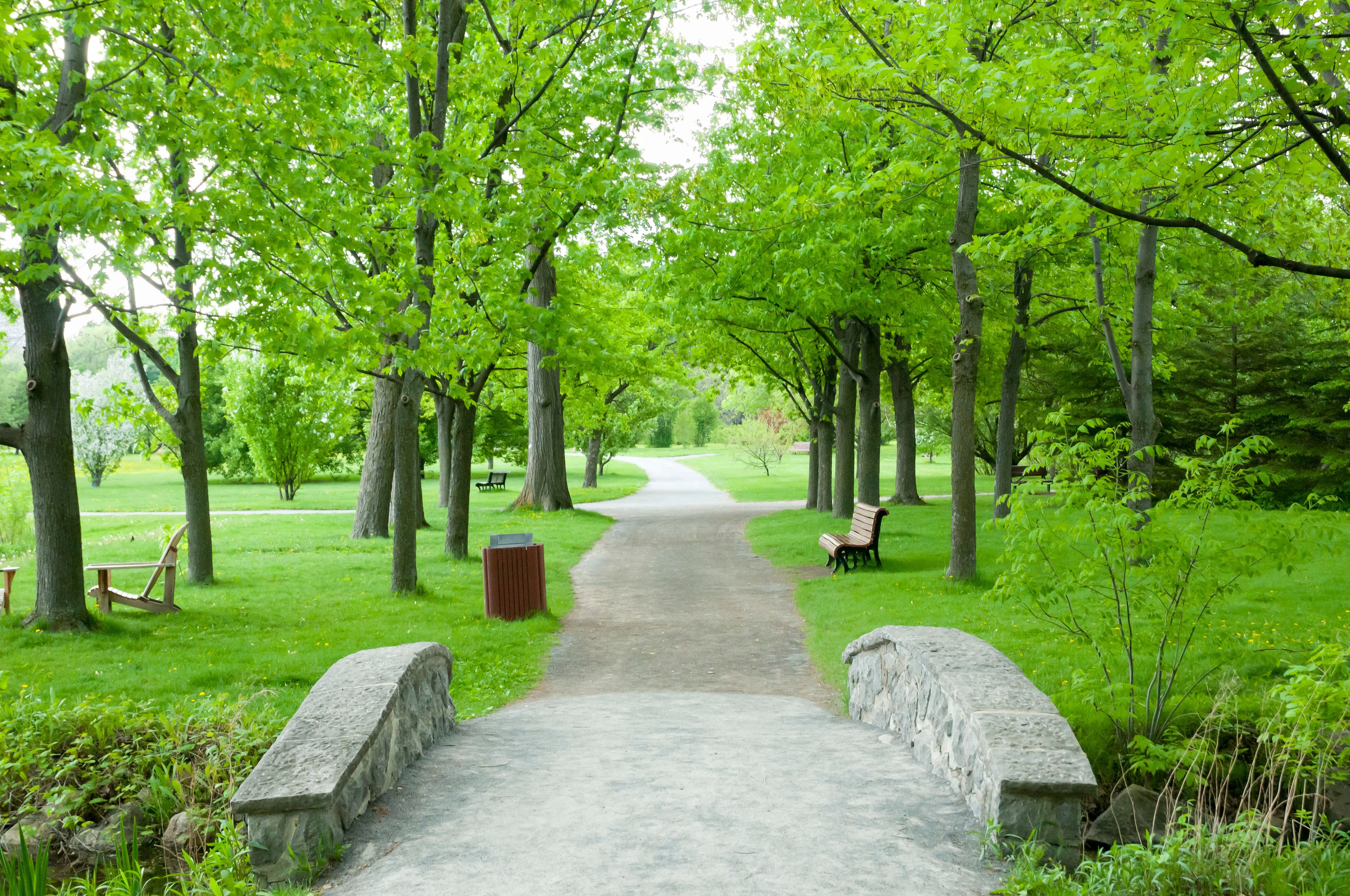 Maisonneuve