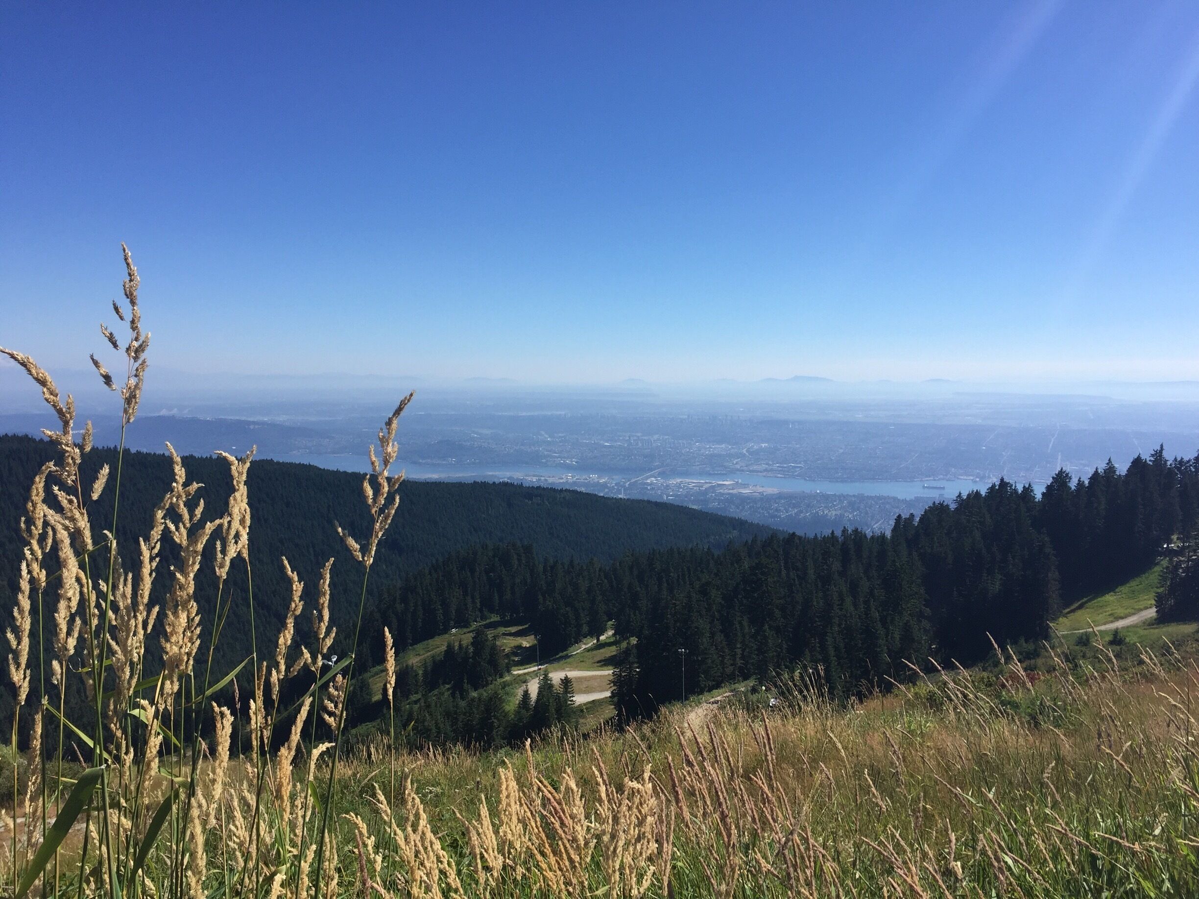 At the top of Grouse Mountain. Lots of activities going on at the peak during the summer, including visiting with the 2 resident grizzly bears! Many people opt to hike up to the top via the popular Grouse Grind trail (aka nature'd stairmaster) or taking the gondola up. Breathtaking view of the Lower Mainland. 
