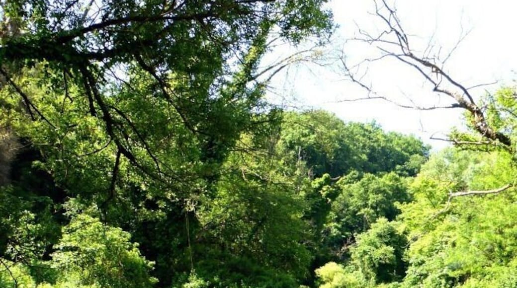 The Blue Eye in Albania is one of the most beautiful sights. Crystal clear water bubbles up from at least 50 m deep as the deep blue center of a spring.
Surrounding this spring is lush foliage along the rushing river. Definitely a place to visit if you are traveling between Saranda and Gjirokastra.