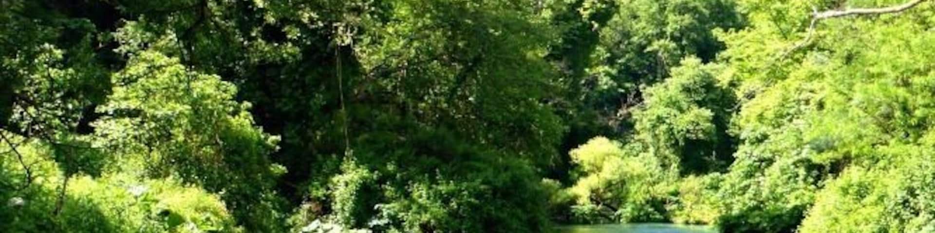 The Blue Eye in Albania is one of the most beautiful sights. Crystal clear water bubbles up from at least 50 m deep as the deep blue center of a spring.
Surrounding this spring is lush foliage along the rushing river. Definitely a place to visit if you are traveling between Saranda and Gjirokastra.