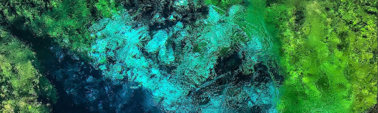 The Blue Eye (Albanian: Syri i Kaltër) is a water spring and natural phenomenon occurring near Muzinë in Vlorë County, southern Albania. A popular tourist attraction, the clear blue water of the river bubbles forth from a stunning, more than fifty-metre-deep pool. Divers have descended to fifty metres, but it is still unclear what the actual depth of the karst hole is. #albania #bvswater #blueeye #syriikalter #spring #balkan #nature