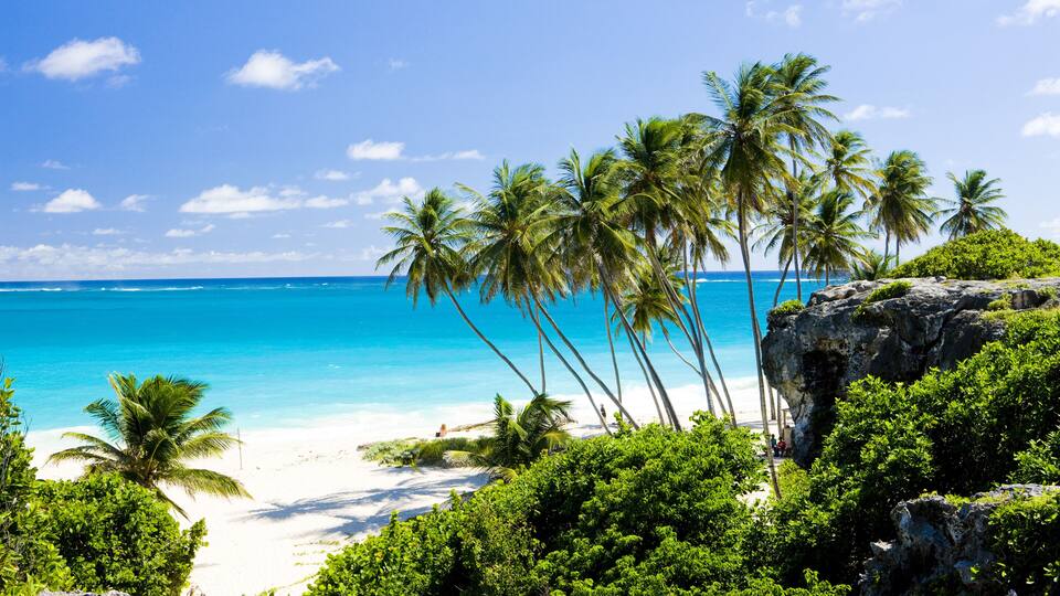 A tropical beach with palm trees, clear blue water, and rocky outcrops.