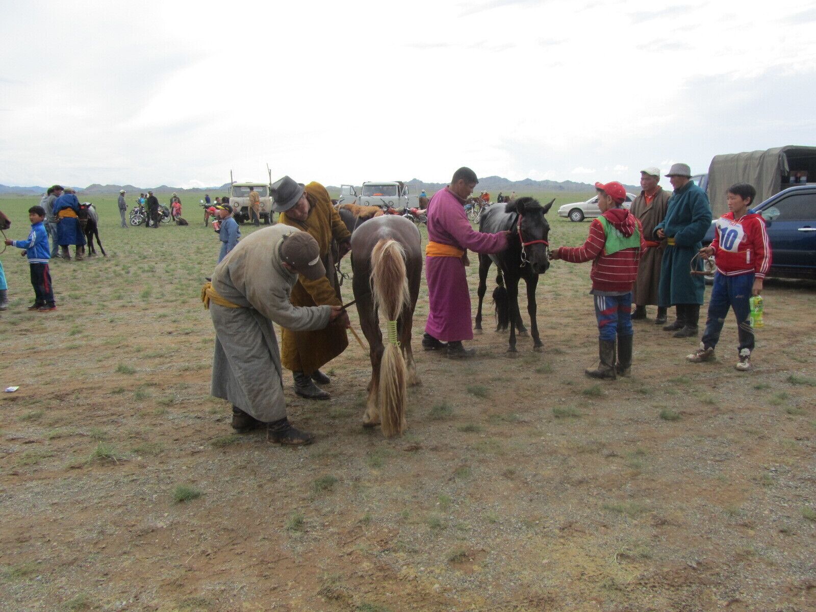 Checking out the horses for the 15km horse race across the plains. The small Mongolian ponies will have equally small jockeys. #Gobi Desert