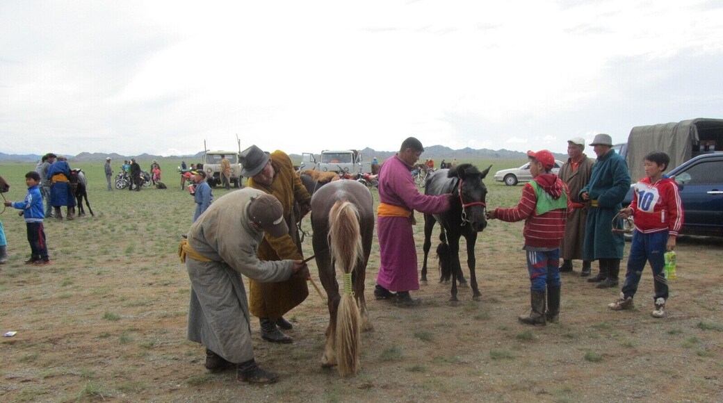 Checking out the horses for the 15km horse race across the plains. The small Mongolian ponies will have equally small jockeys. #Gobi Desert