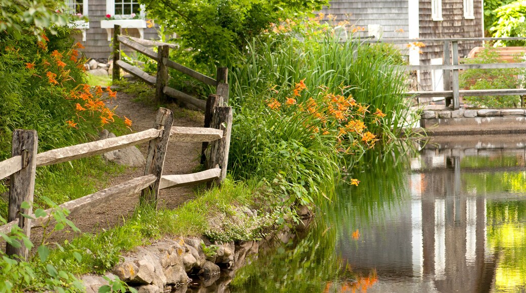 Reflections in stream and flowers in bloom at Stony Brook Grist Mill.; Brewster, Massachusetts.