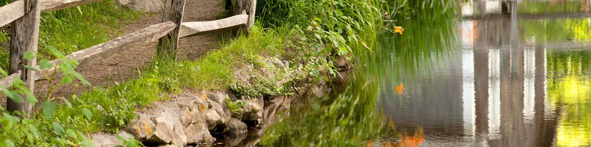 Reflections in stream and flowers in bloom at Stony Brook Grist Mill.; Brewster, Massachusetts.