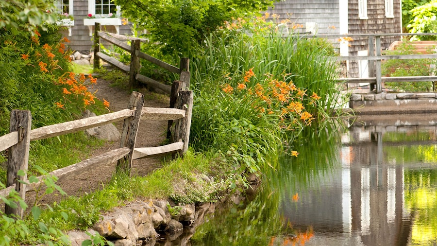 Reflections in stream and flowers in bloom at Stony Brook Grist Mill.; Brewster, Massachusetts.