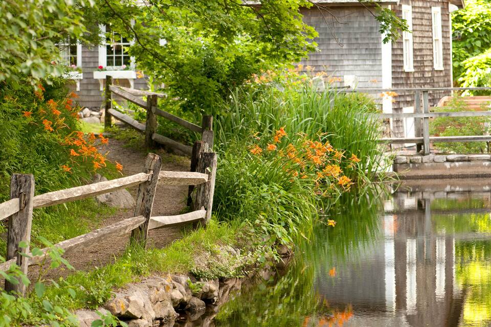 A wooden fence, a pond, and a house with white shutters.