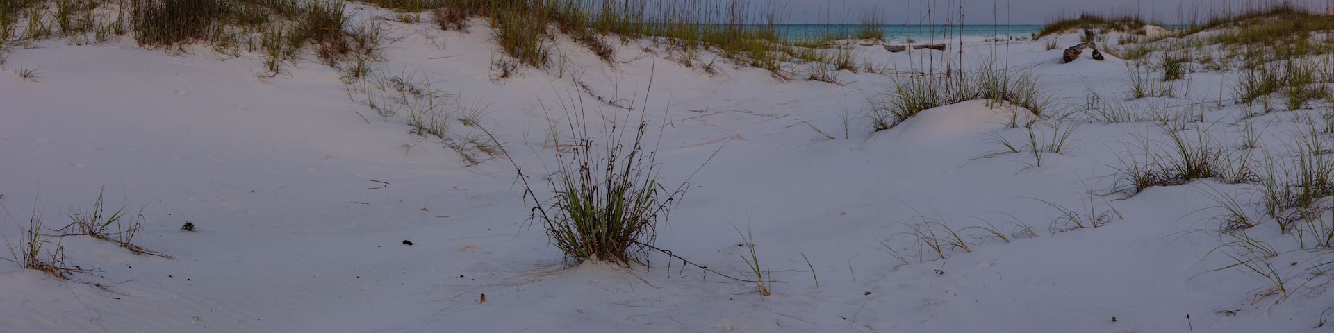 The white sand dunes of Top Sail Hill State Park in Destin Florida. Behind, the beautiful blue waters of the Florida Gulf Coast.