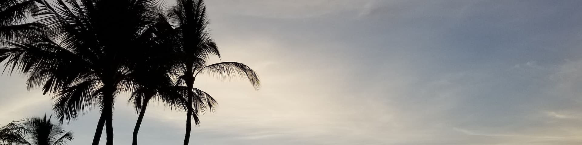 The Andaz Maui luau band were excellent and look fabulous in the sunset.
#luau #andazmaui #travelmatters #maui #hawaii #hawaiiadventures