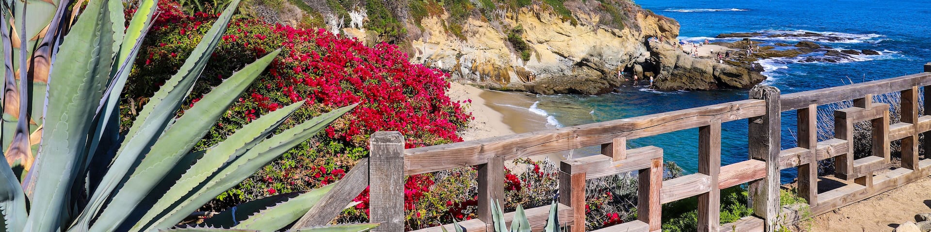 a gorgeous shot of the vast deep blue ocean water with waves rolling into the beach, homes on the cliffs with lush green palm trees and plants with blue sky at Treasure Island Beach in Laguna Beach CA