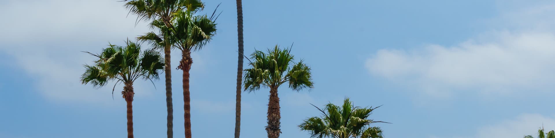 Palisades Park, Walk along Santa Monica Coast