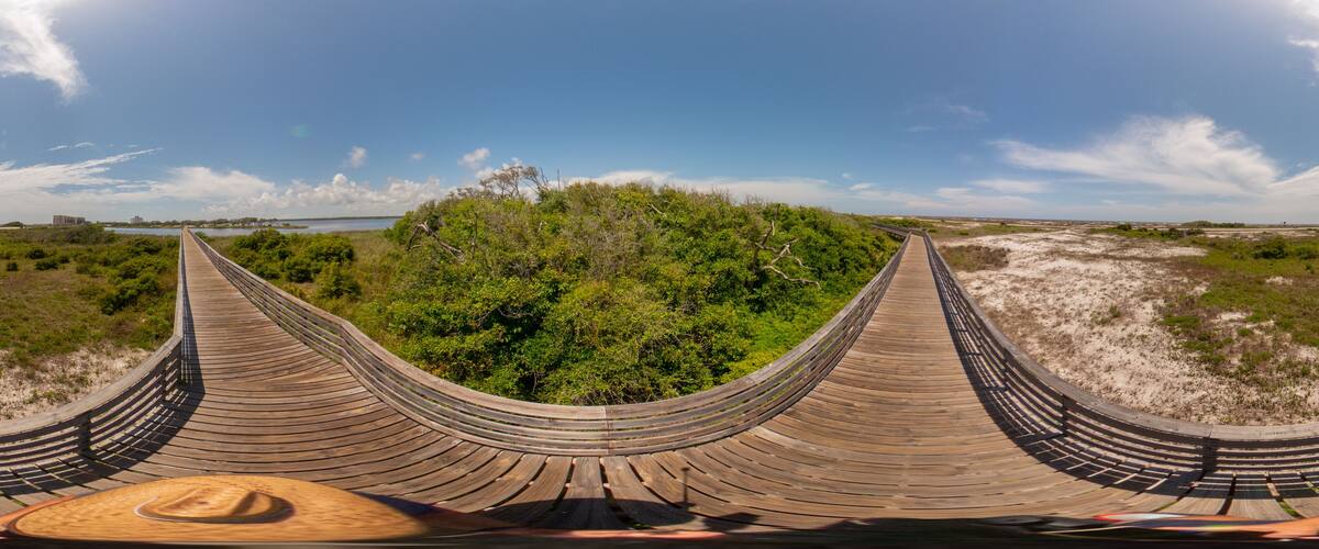Nature trails in Orange Beach Alabama Gulf State Park