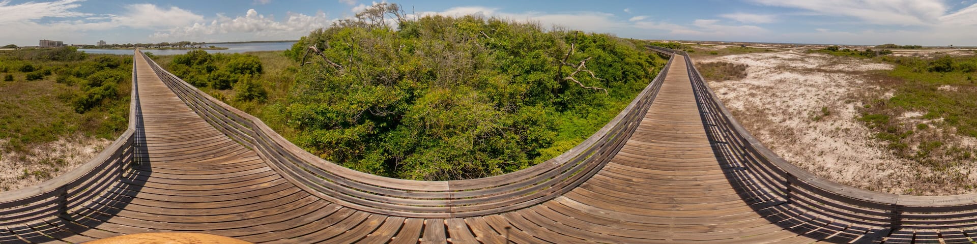 Nature trails in Orange Beach Alabama Gulf State Park