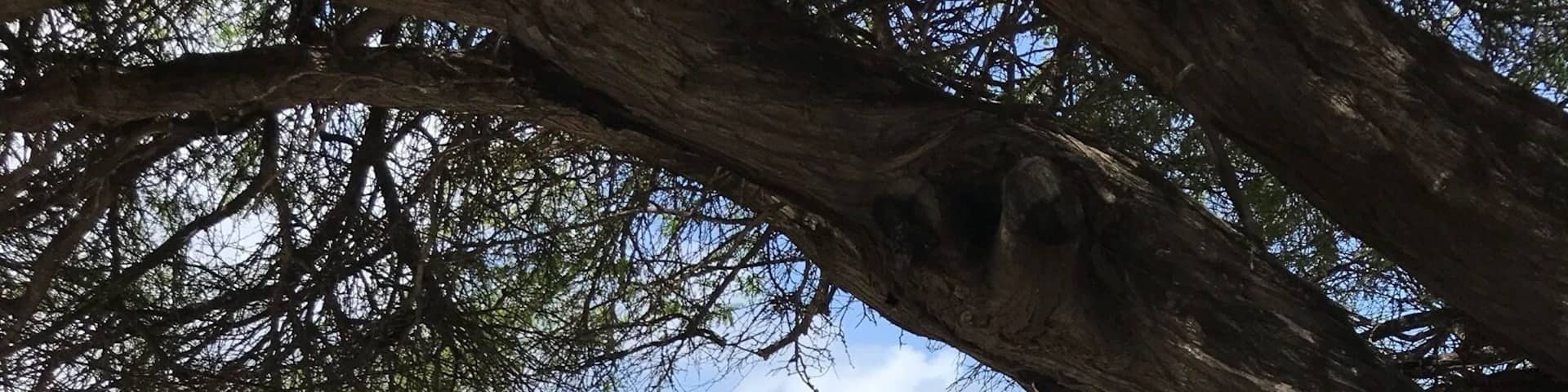 Nice beach across the street