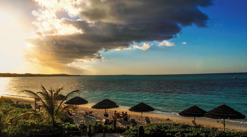 Grace Bay which features the famous 12-mile Grace Bay beach is the location for most of the tourism infrastructure, the Princess Alexandra Marine Park, which is also the playground of "Jo Jo" the famous bottlenose dolphin. Visitors to the world's first Conch Farm discover how to grow conch from tiny veligers to four-year-old adults. This is where most of the water sport activities take place from diving to deep sea fishing and everything in between.
Stones engraved by shipwrecked sailors (or waiting ship wreckers) can be found on the hilltop overlooking the now abandoned Marina Inn near Chalk Sound and Sapodilla Bay. If you like old ruins that are not too difficult to get to, visit 2 sites of plantation houses built by Loyalists, Cheshire Hall and Richmond Hill. "The Hole" at Long Bay is a deep and wide Limestone chimney with a mysterious depth of salt water at the bottom.