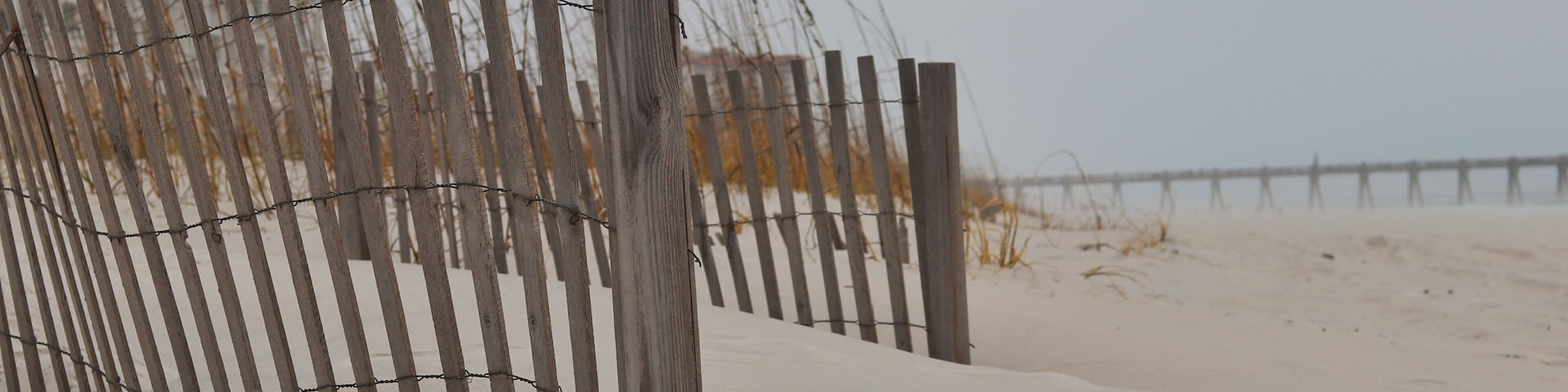 White Sand Beach - Florida