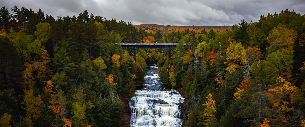 Una cascada que se precipita a través de un bosque, con un puente en lo alto.