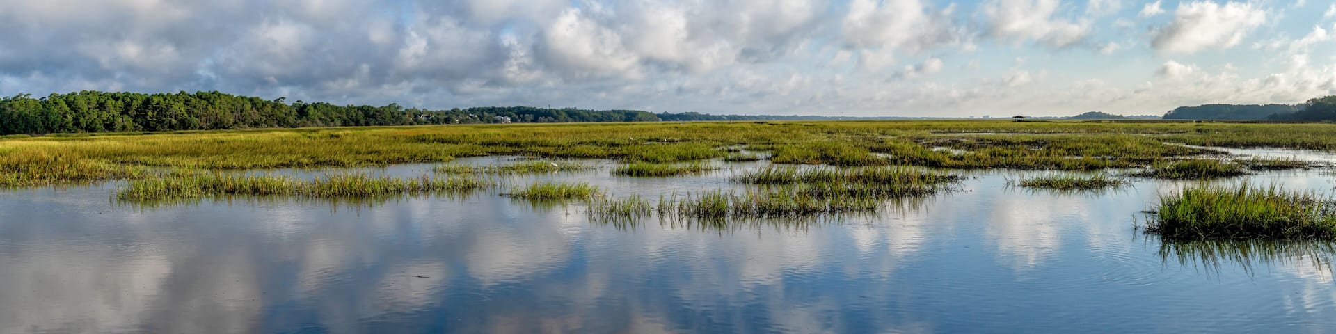 panorama landscape of tidal beds and marshlands in Pawleys Island in South Carolina