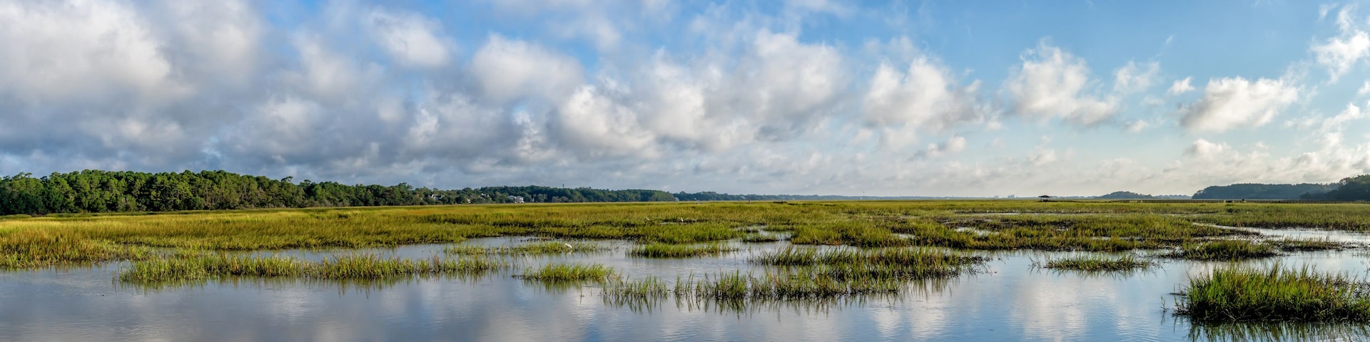 panorama landscape of tidal beds and marshlands in Pawleys Island in South Carolina