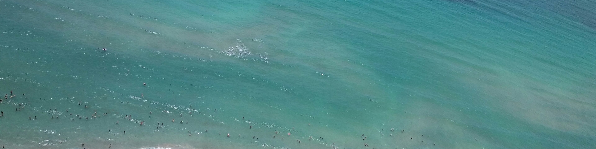 Hallandale beach , Florida