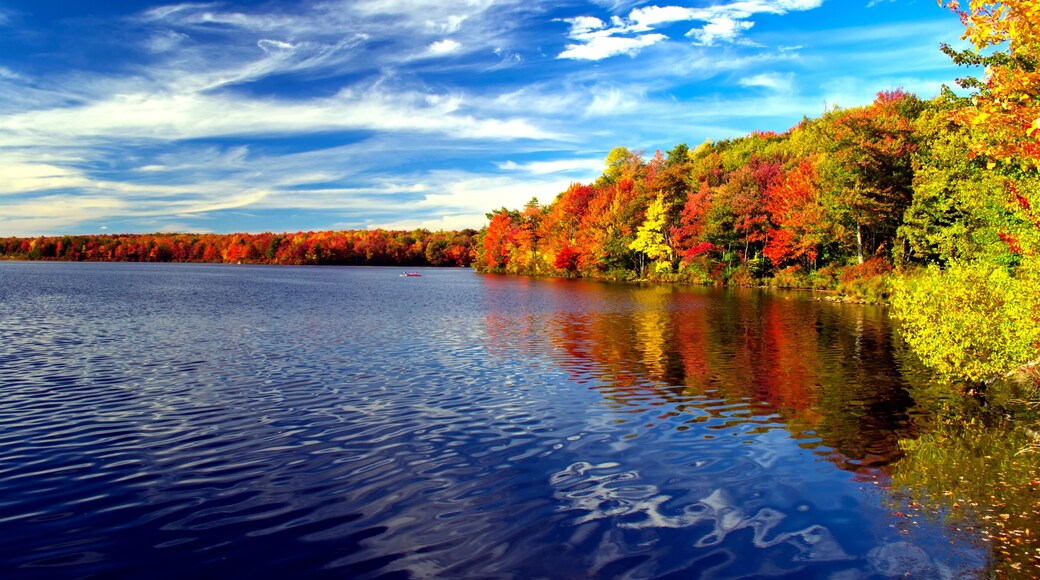 Sentiers de Towamensing