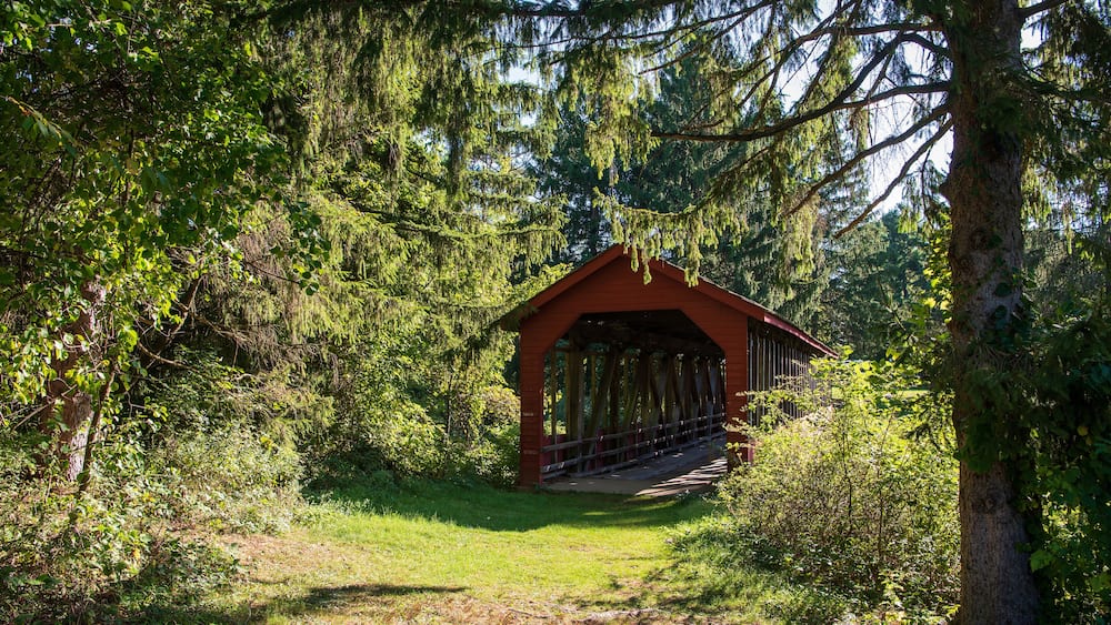 A wooden covered bridge in a forested area with dense trees and greenery.