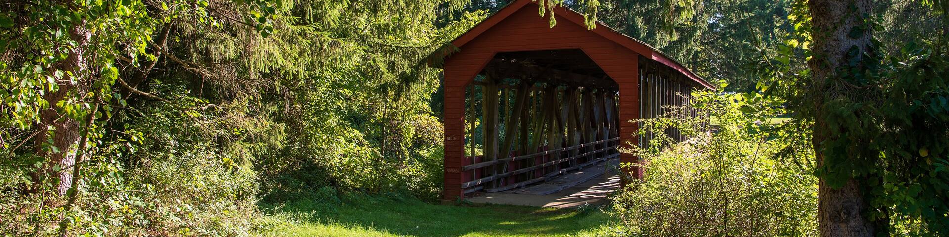A wooden covered bridge in a forested area with dense trees and greenery.