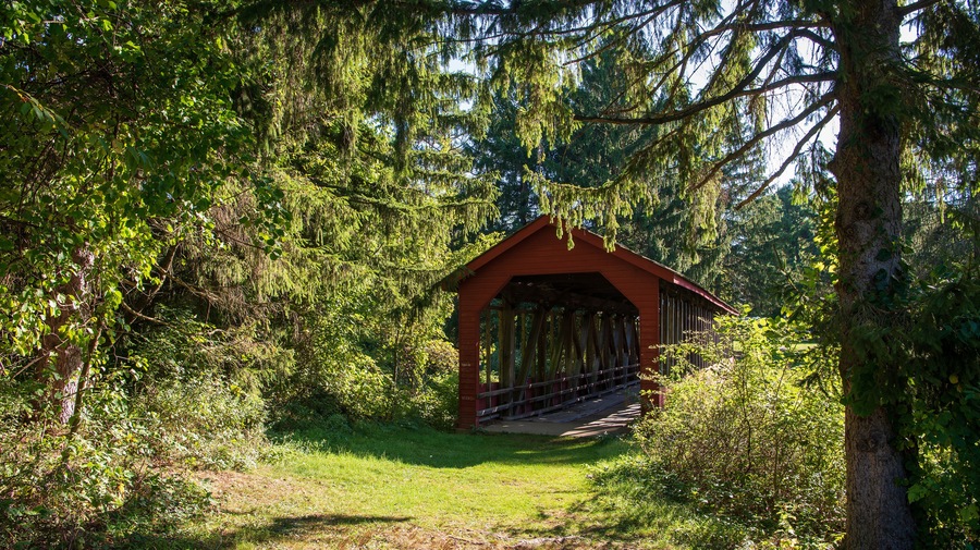 A wooden covered bridge in a forested area with dense trees and greenery.