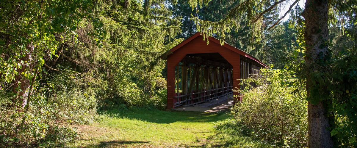 A wooden covered bridge in a forested area with dense trees and greenery.