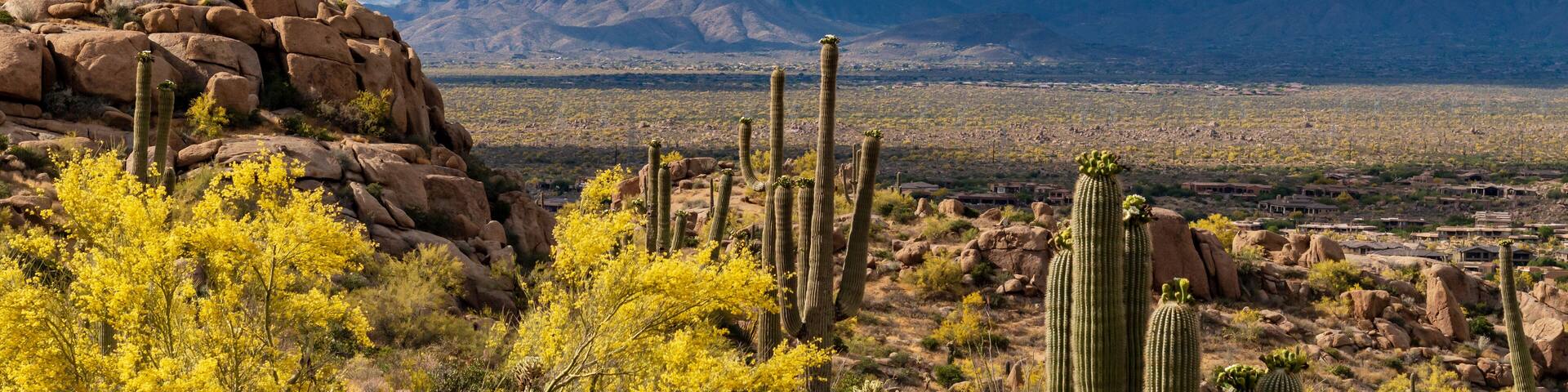 Landscape Image Of North Scottsdale Arizona