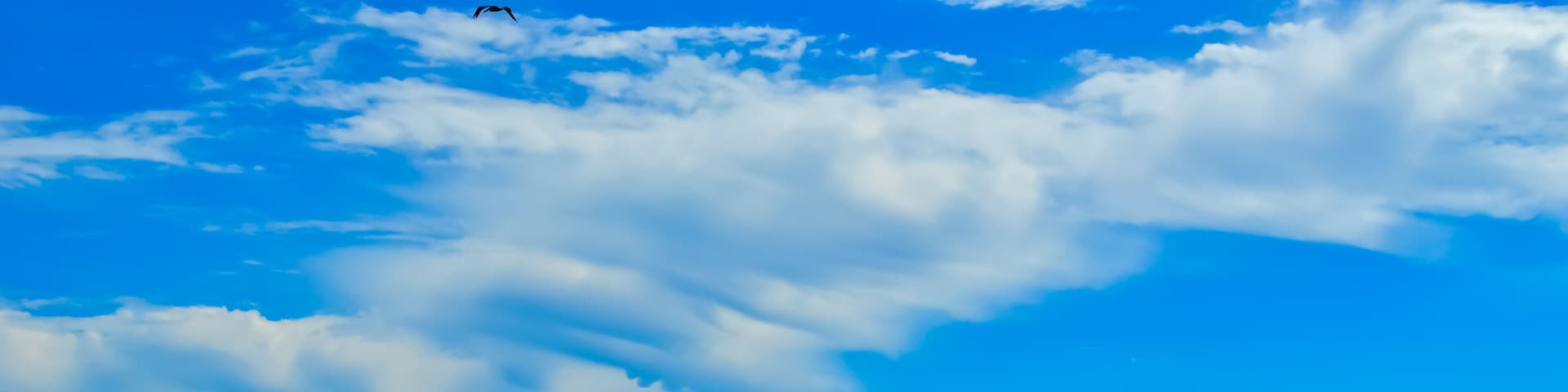Pelicans Flying V, Fall Walk on the Beach, Sunday morning walk on the beach, Alabama Point, Orange Beach, Alabama