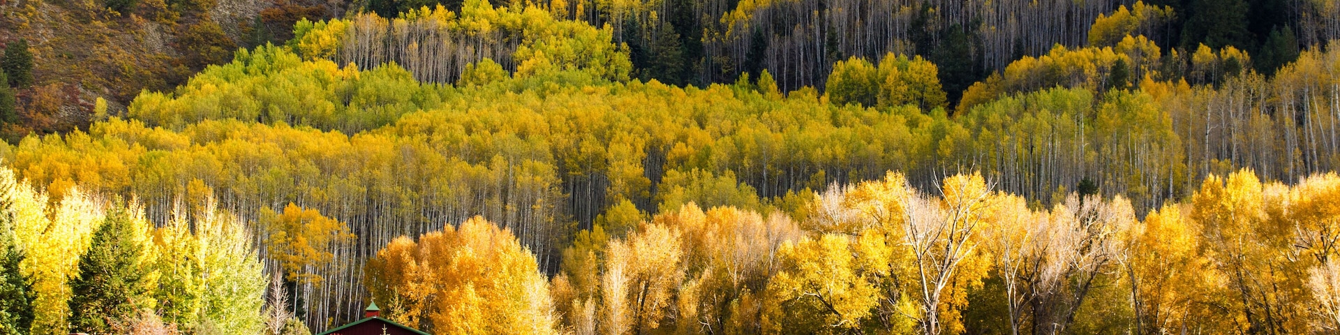 Red house and Fall Foliage
