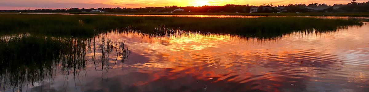 beautiful sunset over marsh grass and coastal ocean waters at high tide with forest in the background